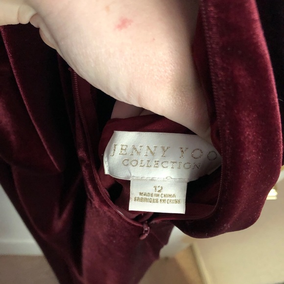 Jenny Yoo Berry Sullivan dress size:12 (velvet) - Picture 8 of 11